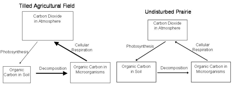 Figure 1f Box and Arrow